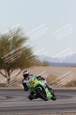 media/Nov-30-2025-TrackXperience (Sun) [[c0061d280f]]/2-Level 2/Session 6 Turn 4 Tree of Life/